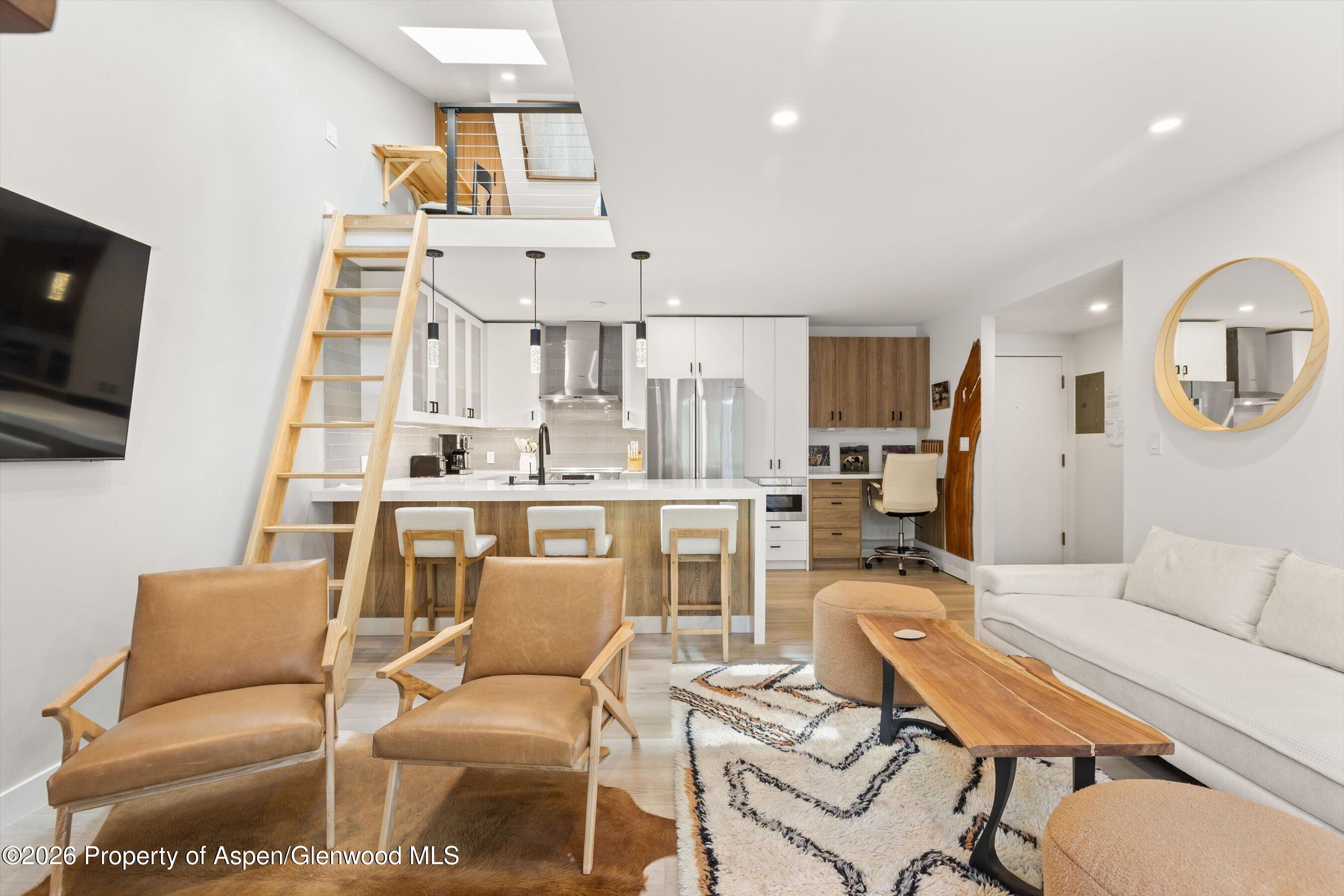 910 W Hallam Street Aspen CO 81611