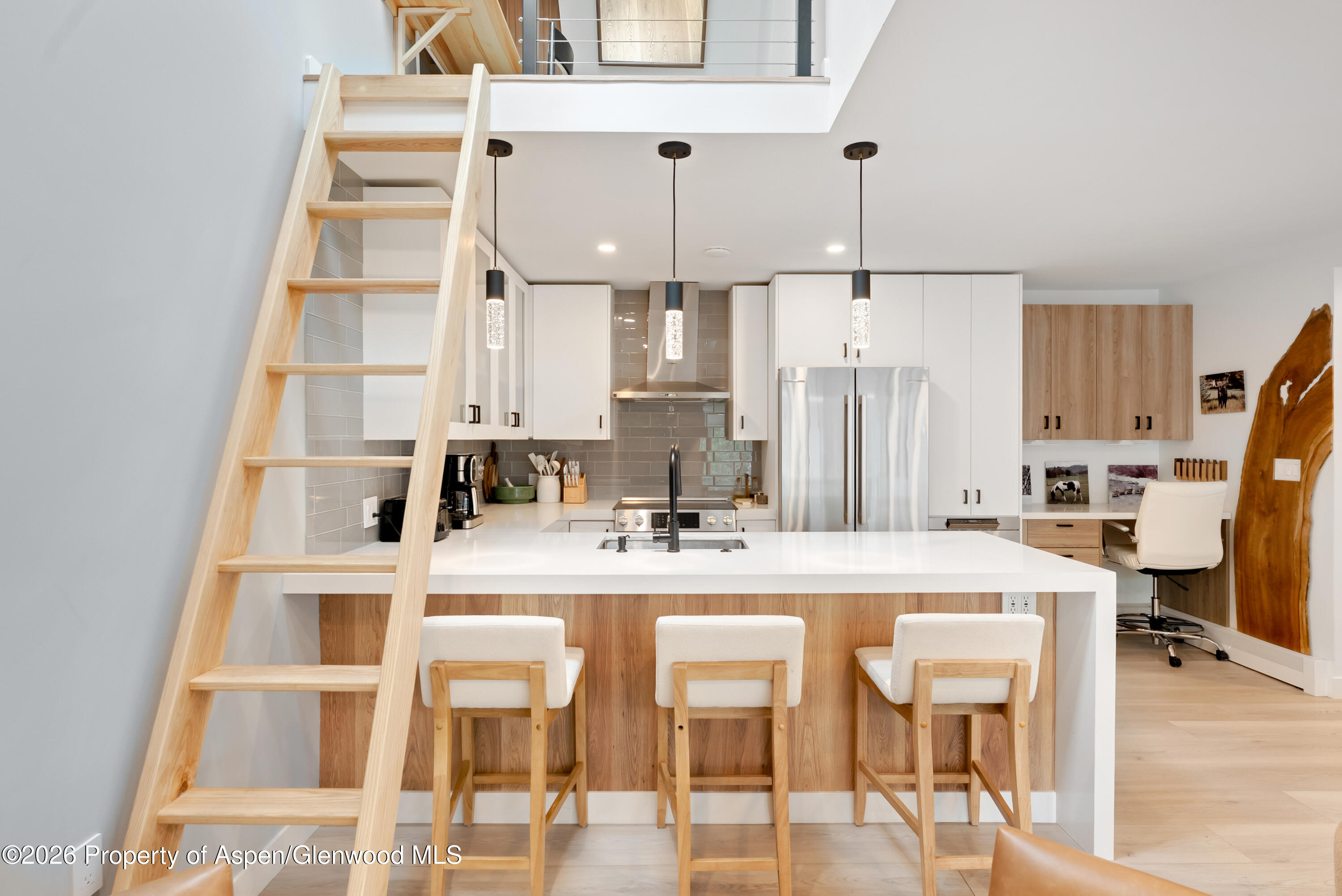 910 W Hallam Street Aspen CO 81611
