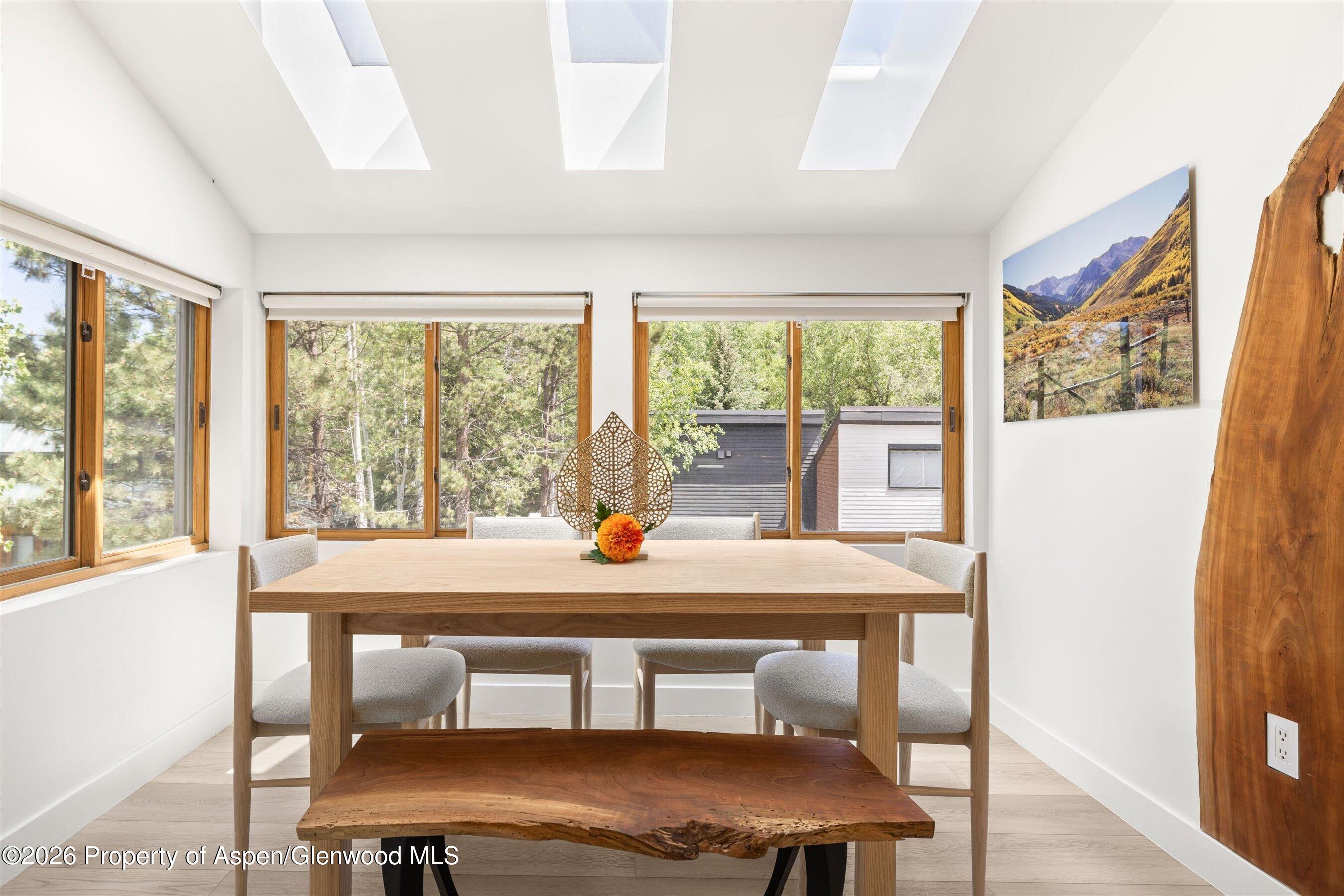 910 W Hallam Street Aspen CO 81611