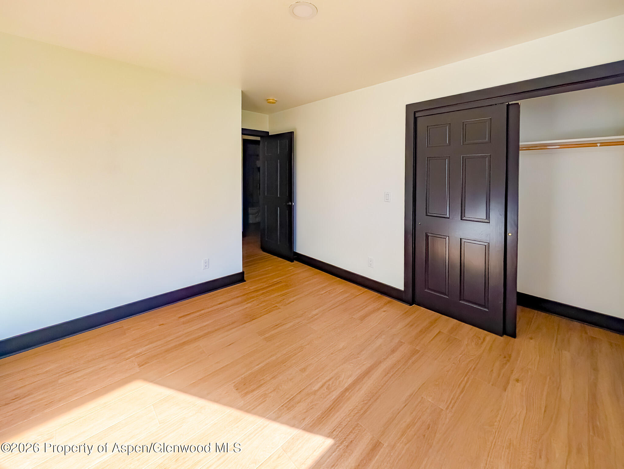 82 Roaring Fork Avenue Carbondale CO 81623