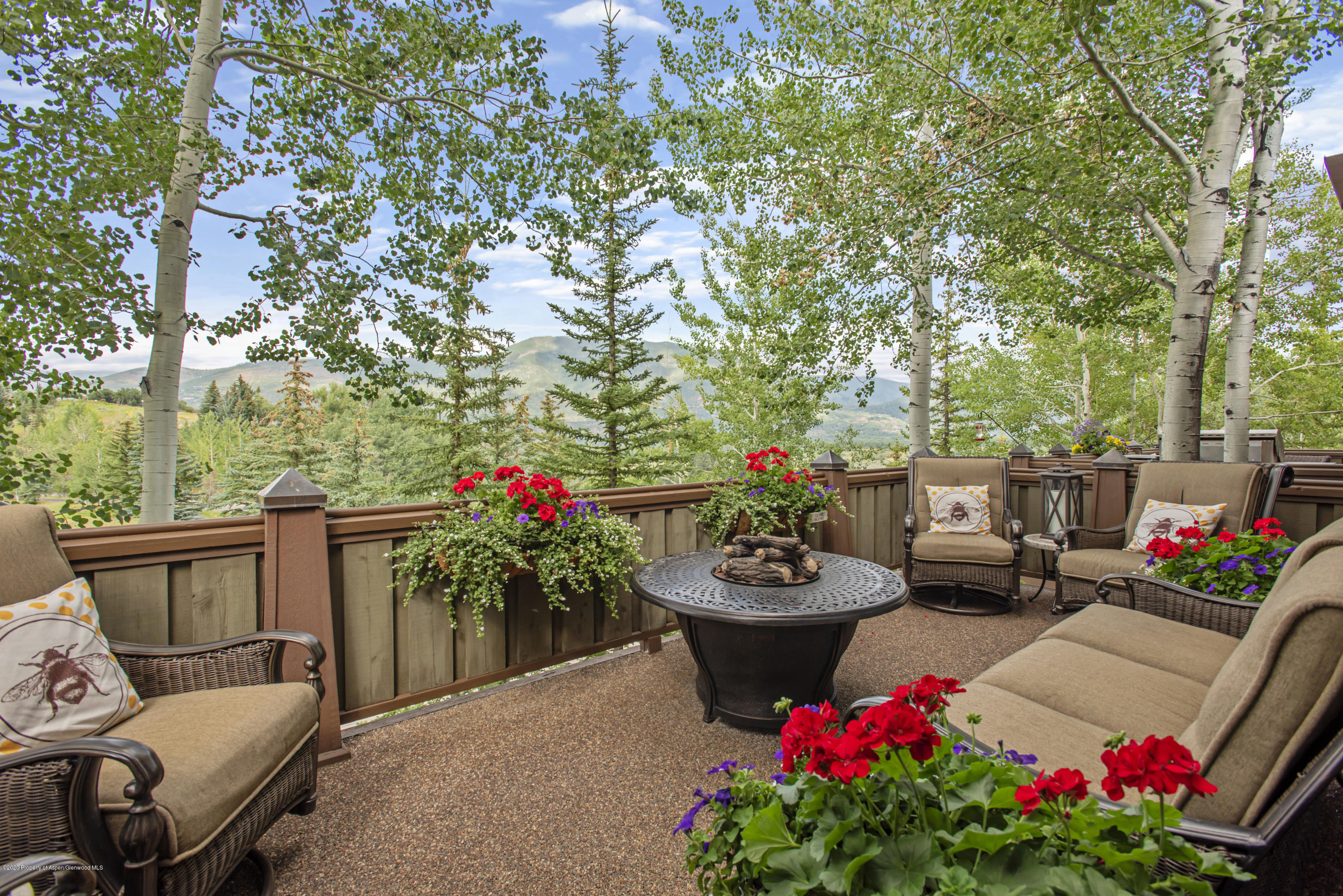 713 Oregon Trail Aspen CO 81611