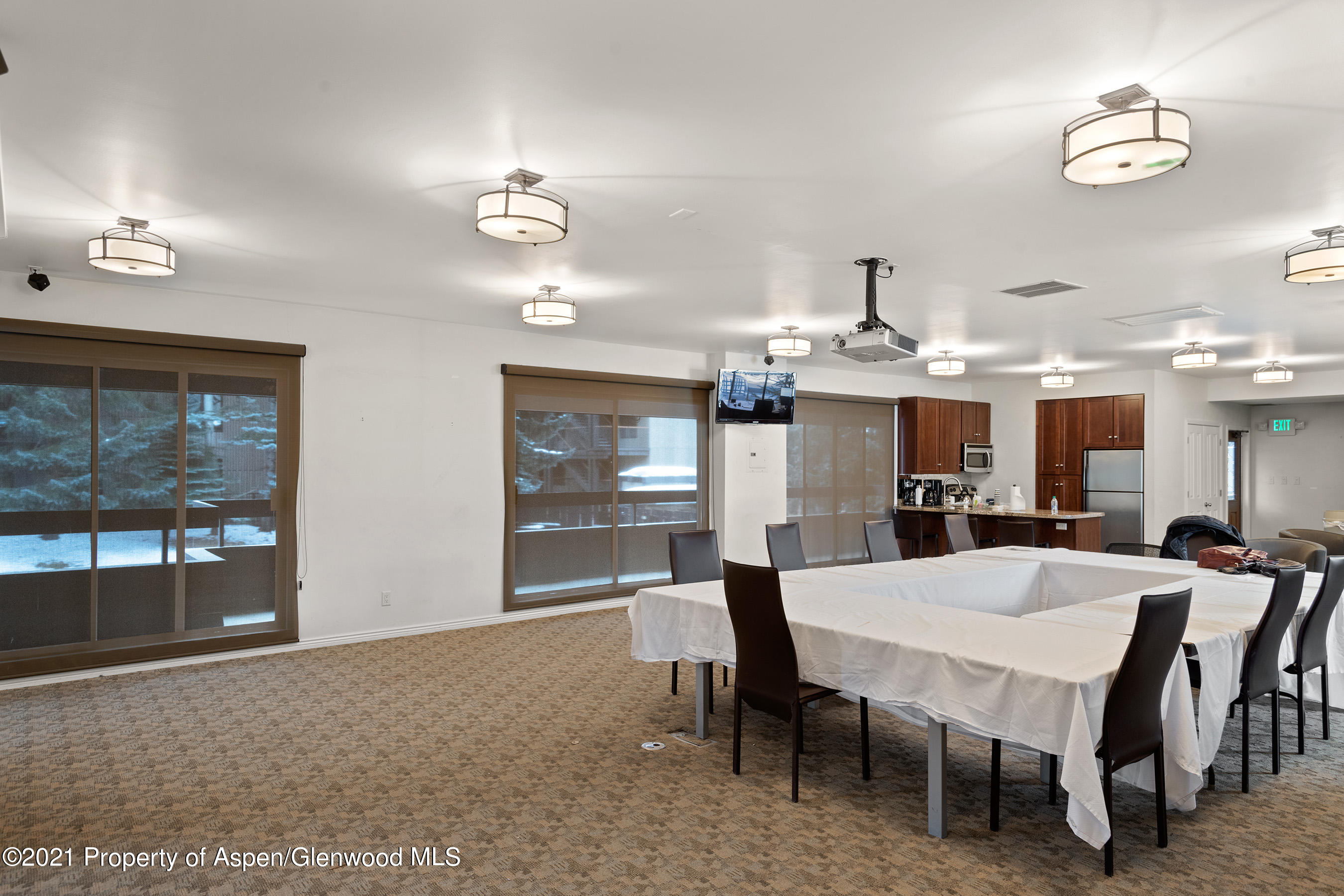 1039 E Cooper Avenue Aspen CO 81611