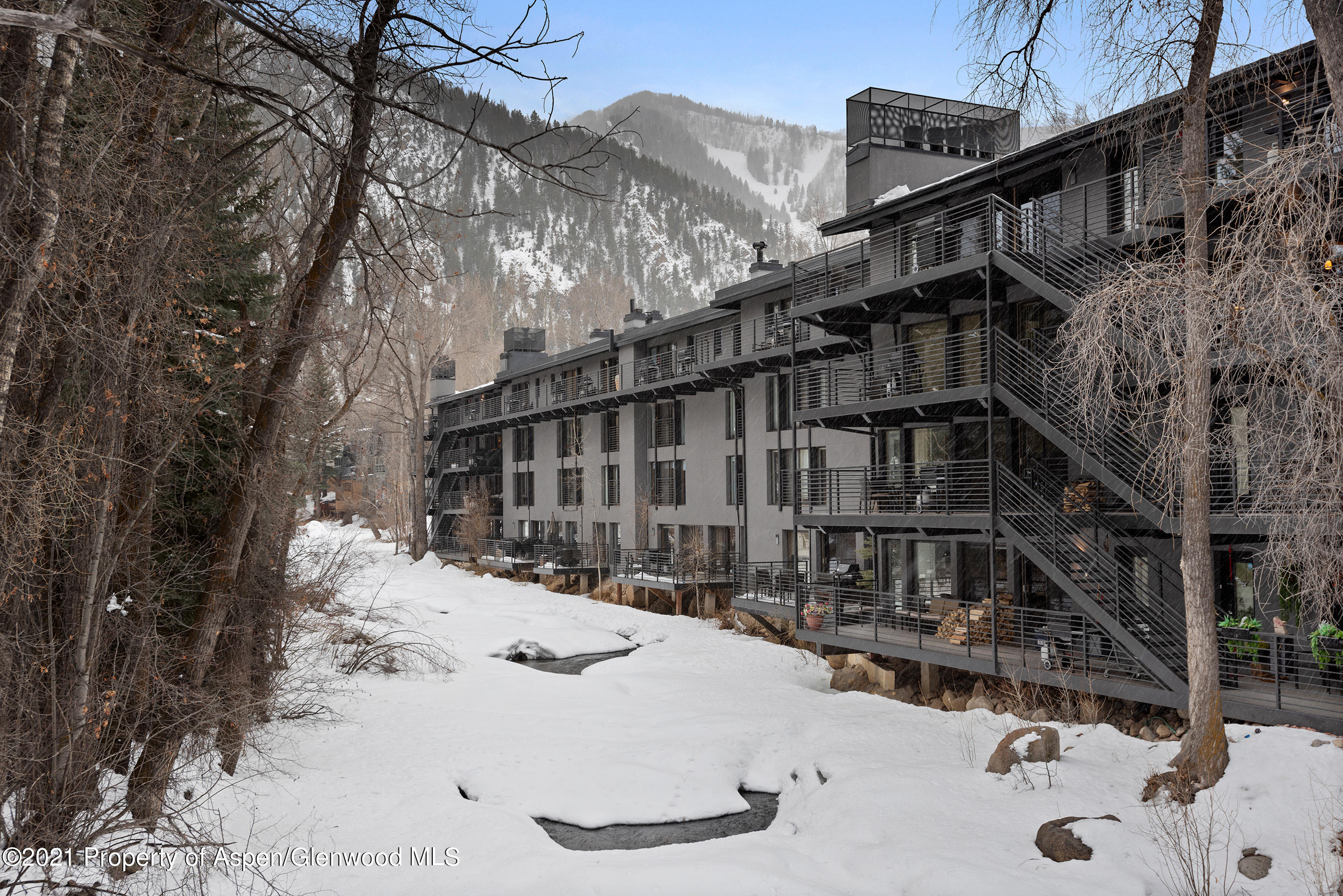 1039 E Cooper Avenue Aspen CO 81611