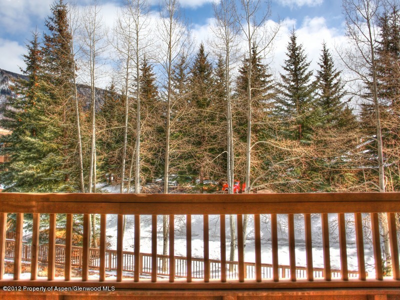 610 S West End Street Aspen CO 81611