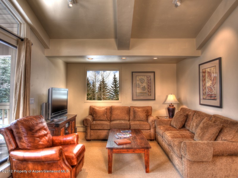 610 S West End Street Aspen CO 81611