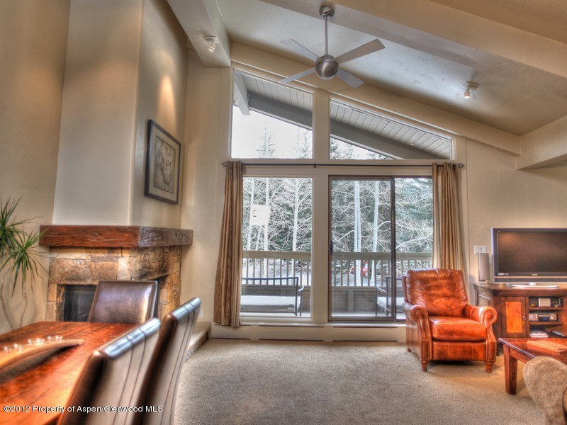 610 S West End Street Aspen CO 81611