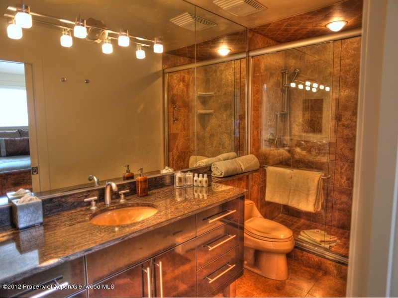 610 S West End Street Aspen CO 81611