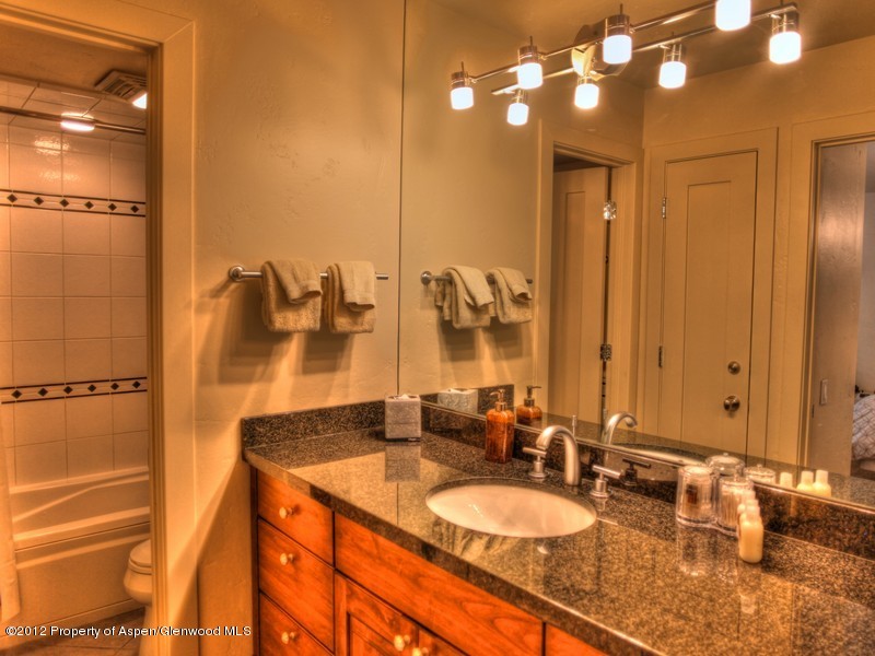 610 S West End Street Aspen CO 81611