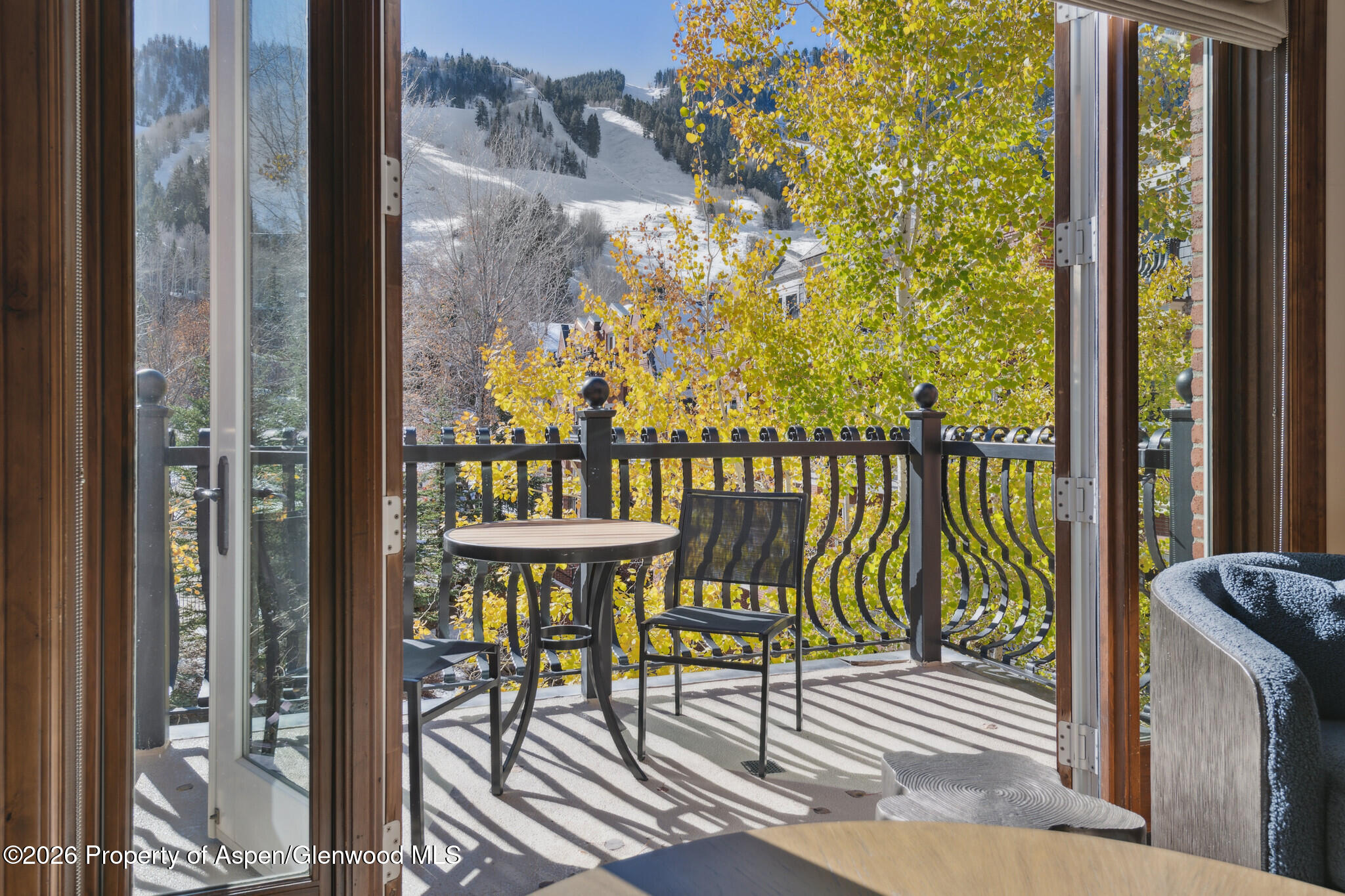 415 E Dean St, Unit 32, Week 10 Aspen CO 81611