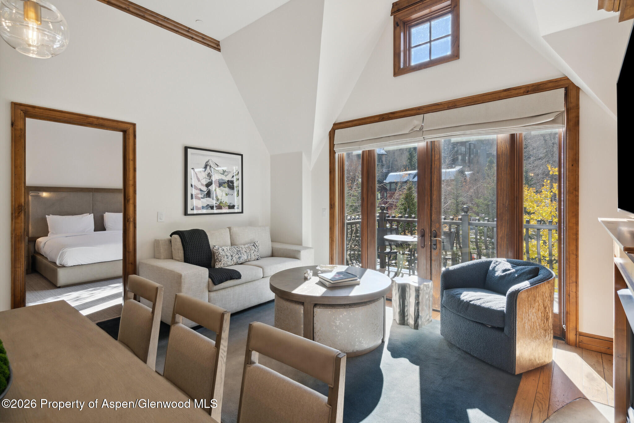 415 E Dean St, Unit 32, Week 10 Aspen CO 81611