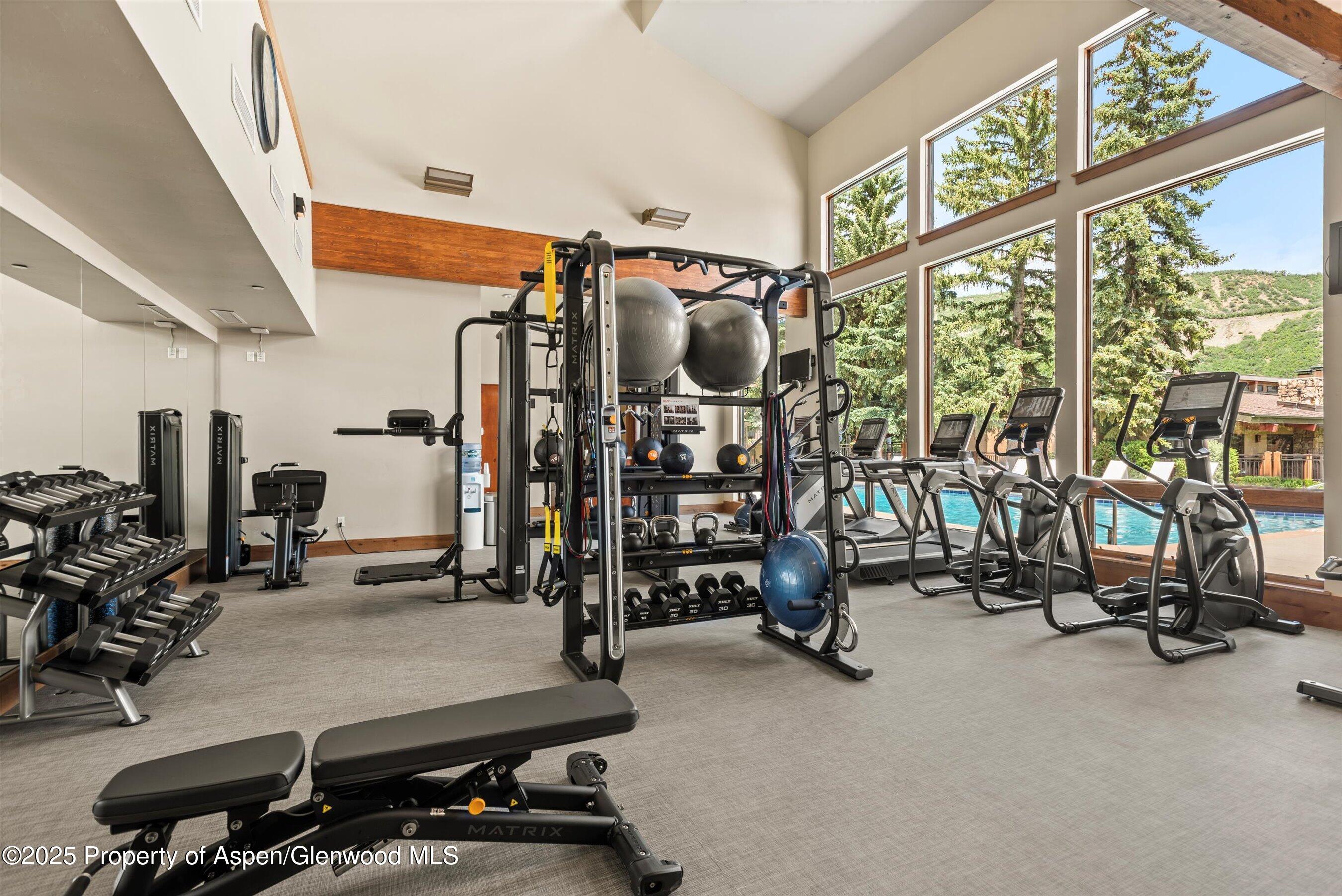 300 Carriage Way Snowmass Village CO 81615