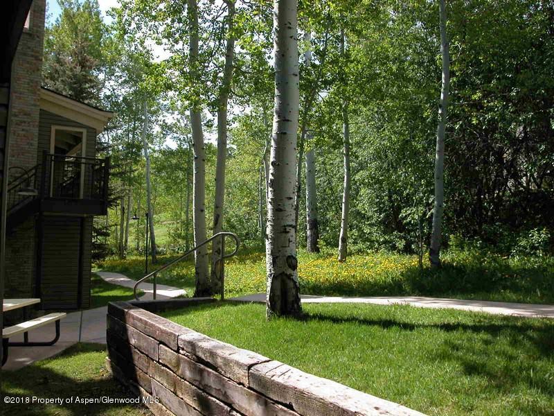 690 Carriage Way Snowmass Village CO 81615