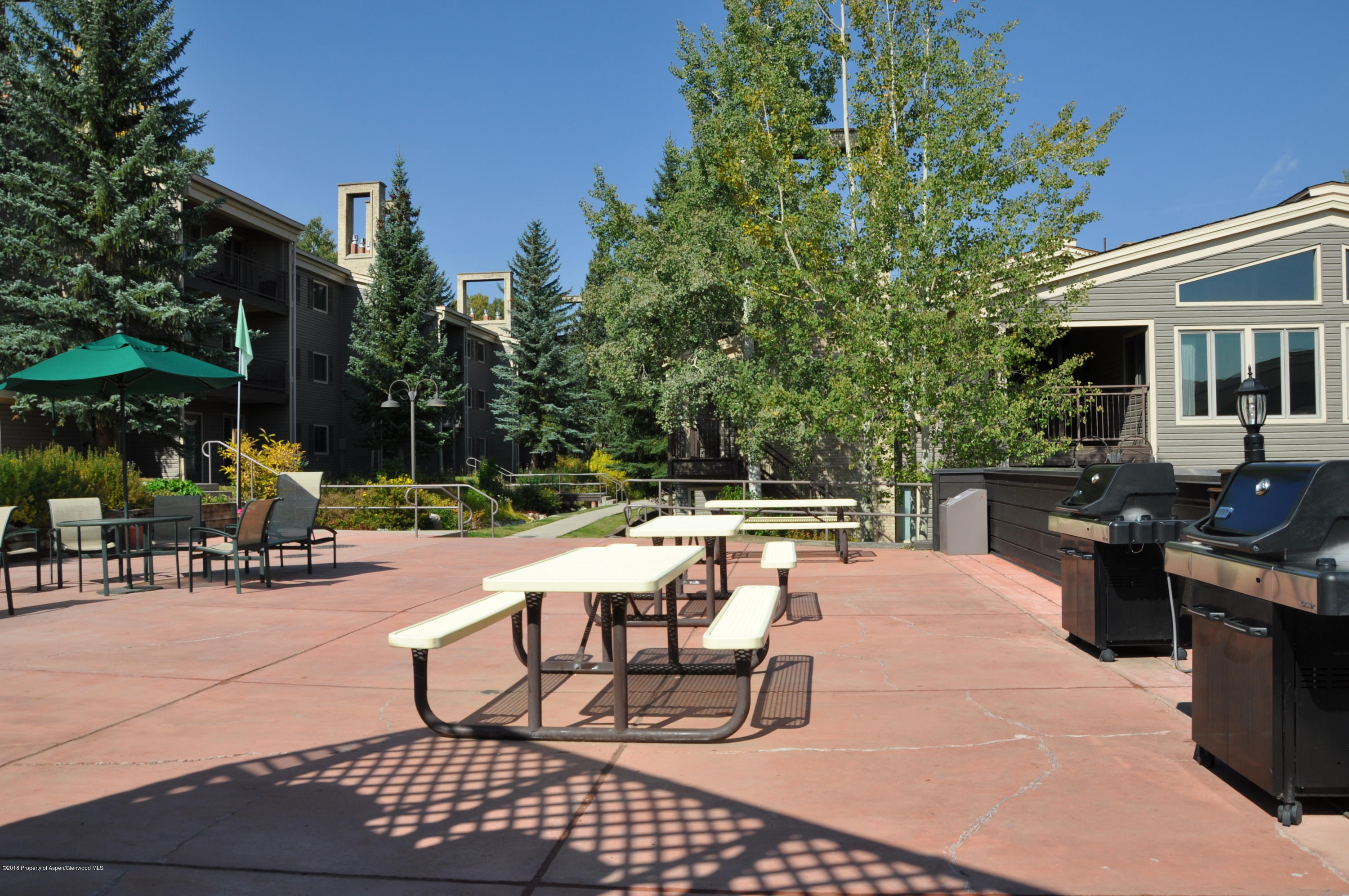 690 Carriage Way Snowmass Village CO 81615