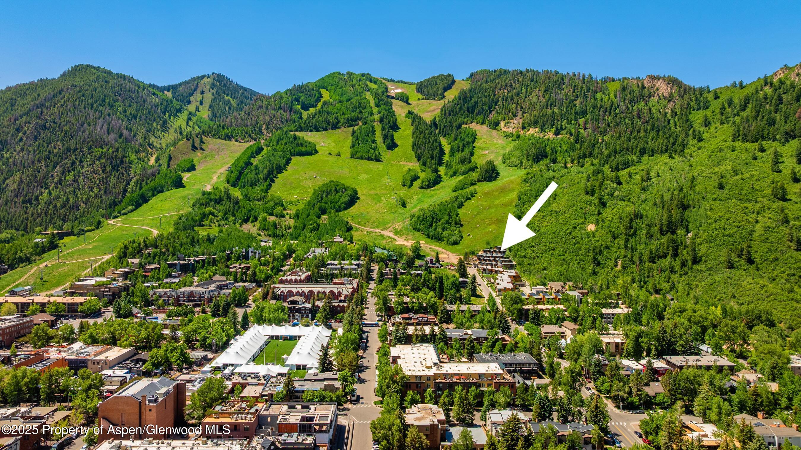 809 S Aspen Street Aspen CO 81611