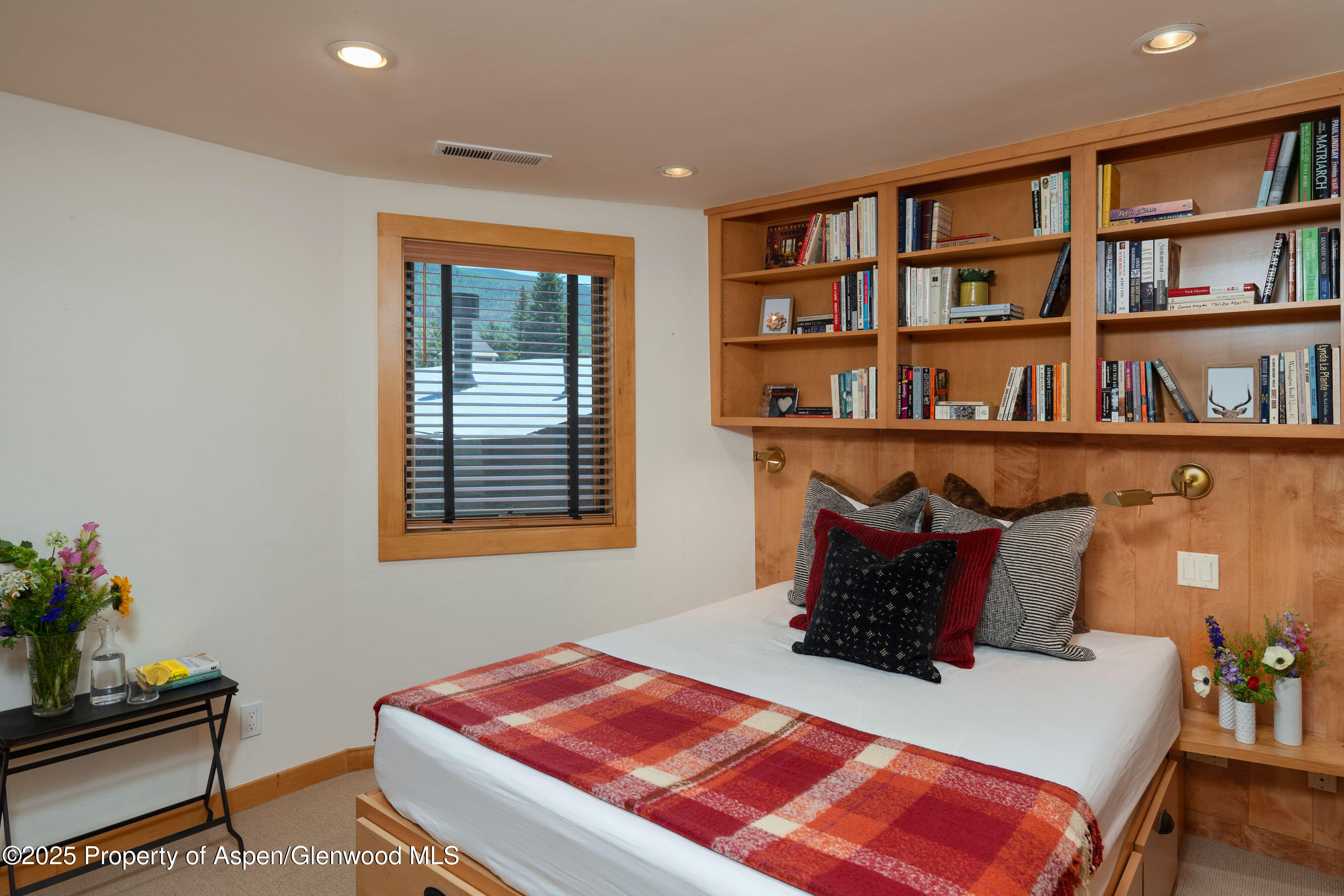 809 S Aspen Street Aspen CO 81611