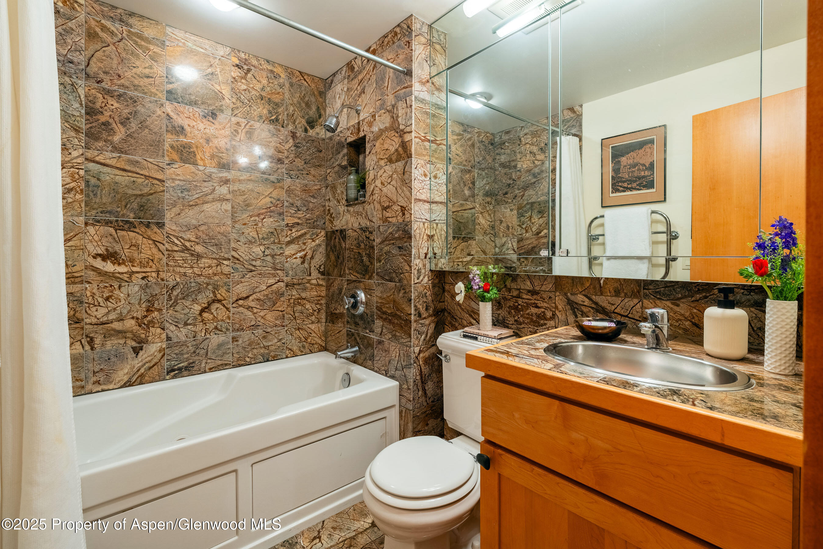 809 S Aspen Street Aspen CO 81611