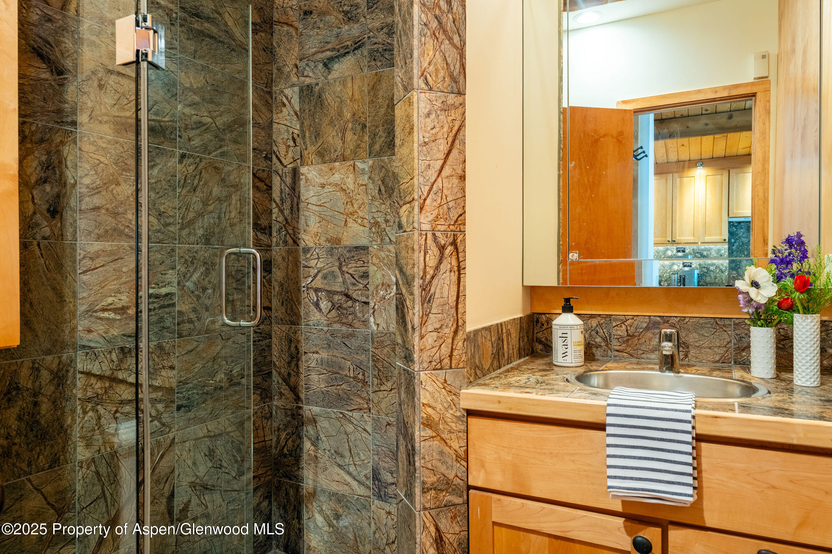 809 S Aspen Street Aspen CO 81611