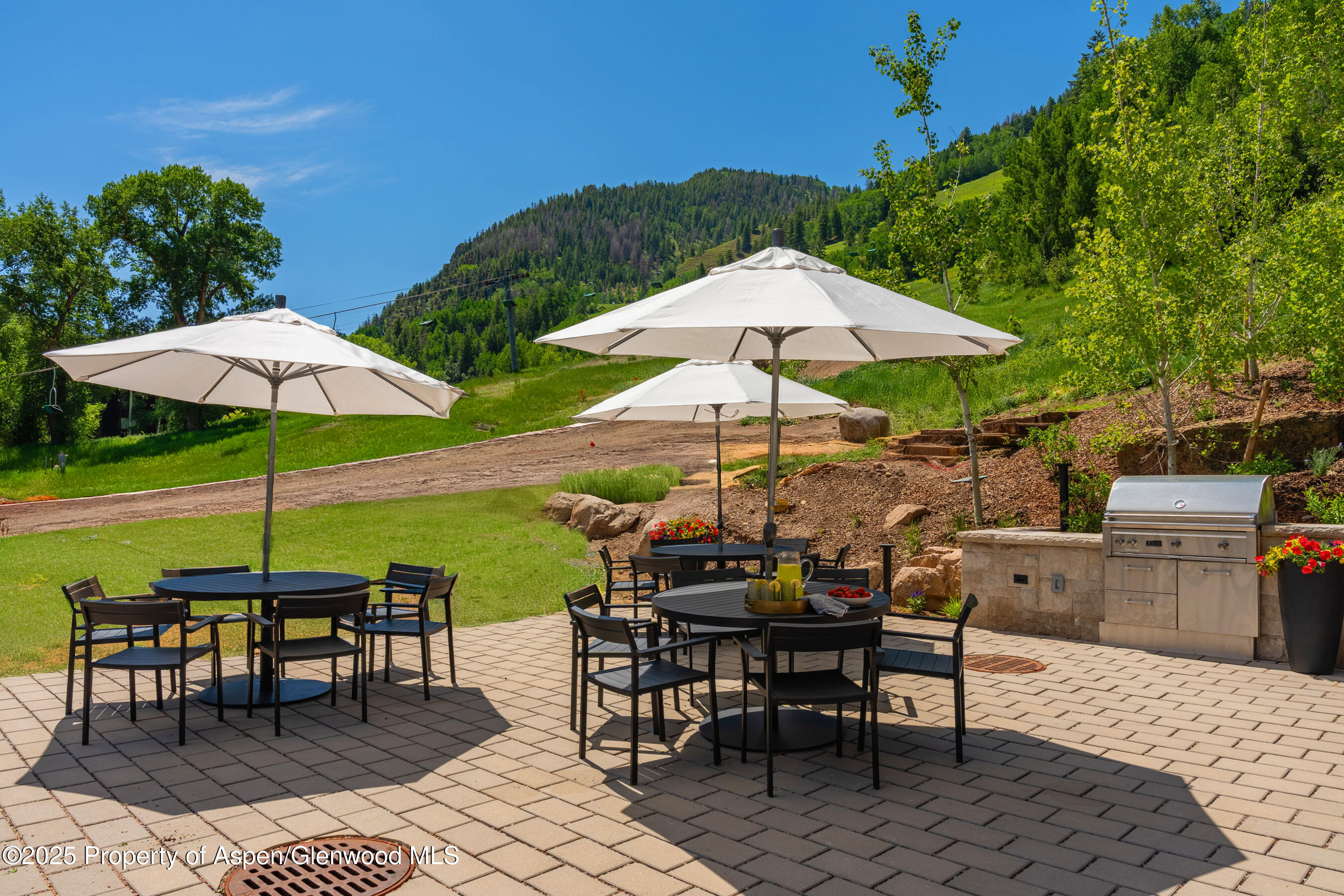 809 S Aspen Street Aspen CO 81611