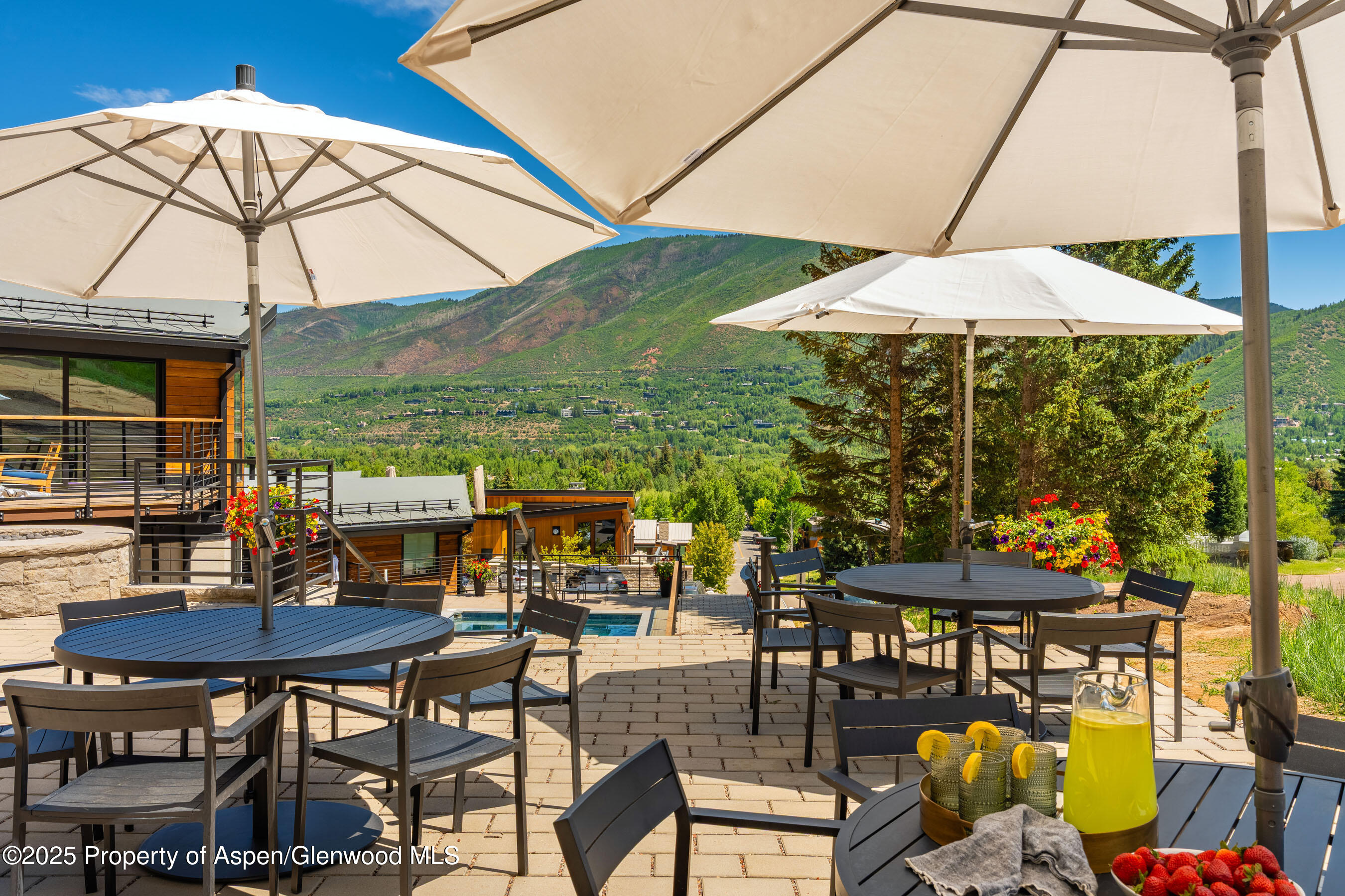 809 S Aspen Street Aspen CO 81611