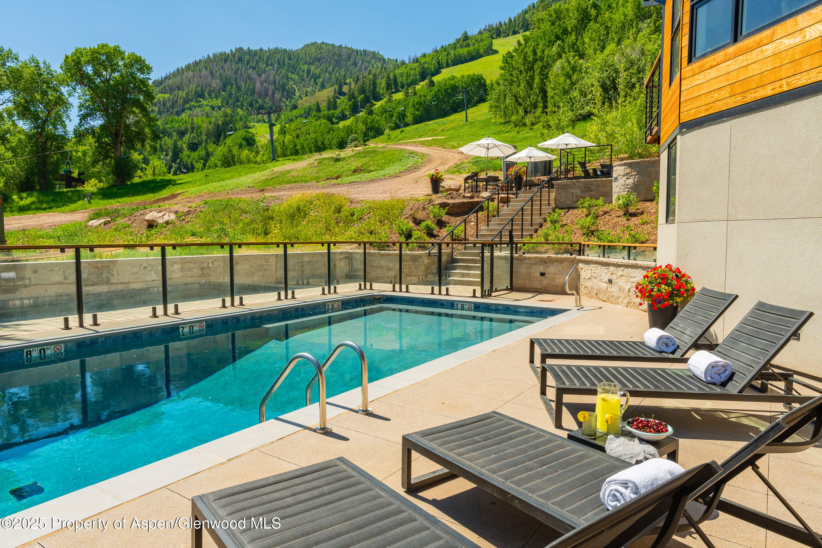 809 S Aspen Street Aspen CO 81611