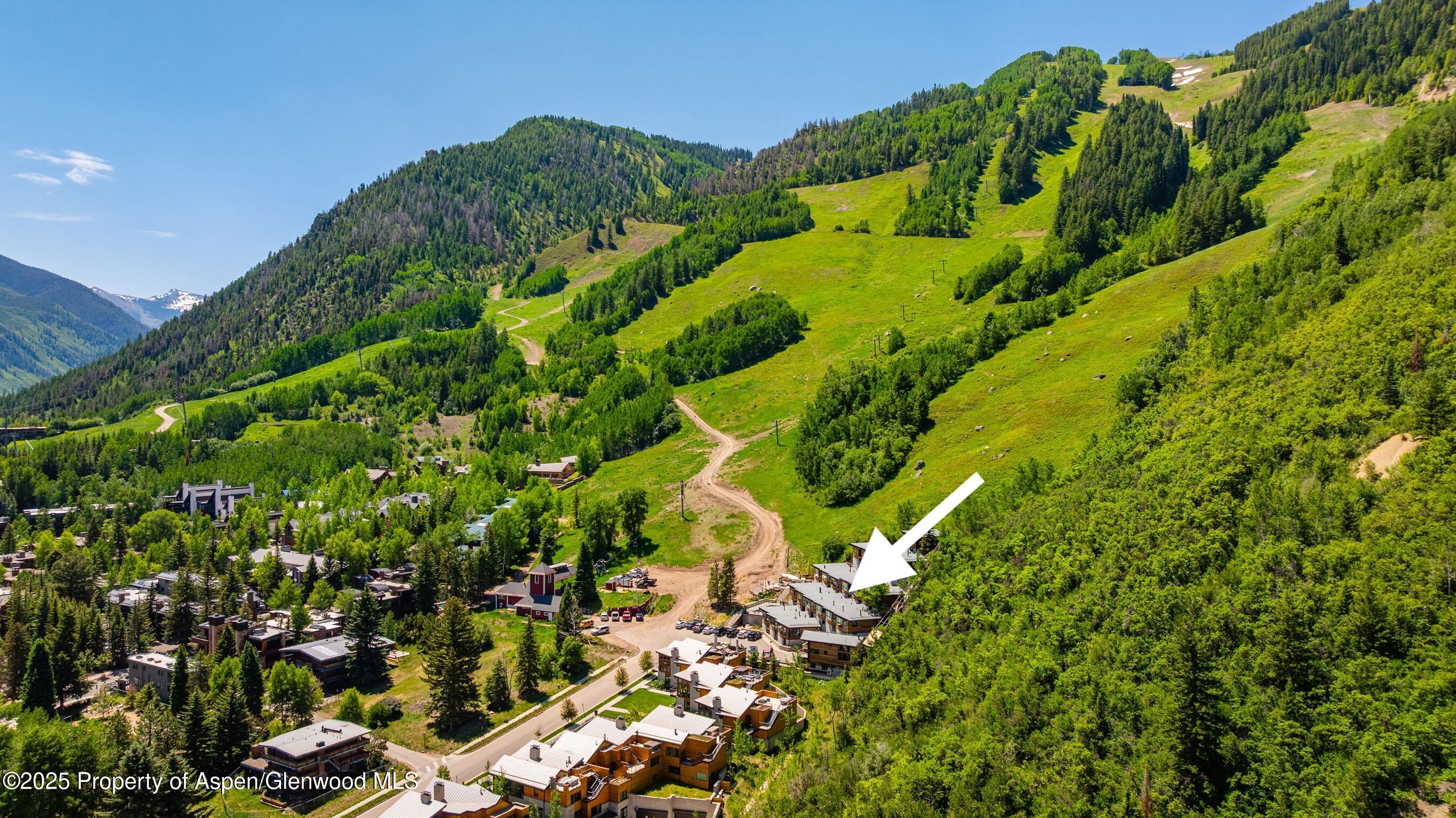 809 S Aspen Street Aspen CO 81611