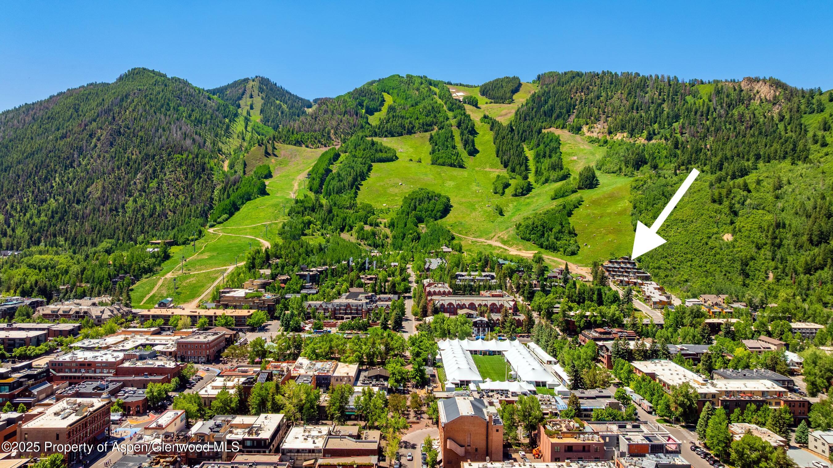 809 S Aspen Street Aspen CO 81611