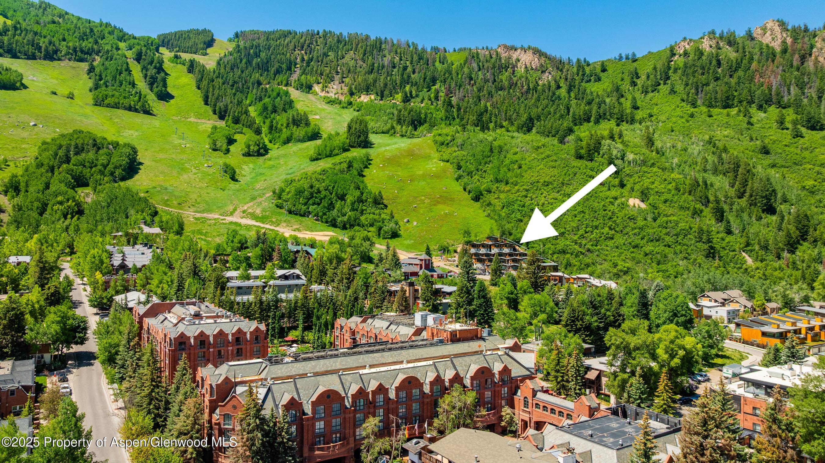 809 S Aspen Street Aspen CO 81611