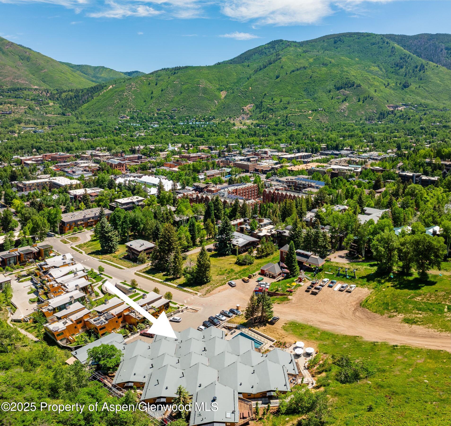 809 S Aspen Street Aspen CO 81611