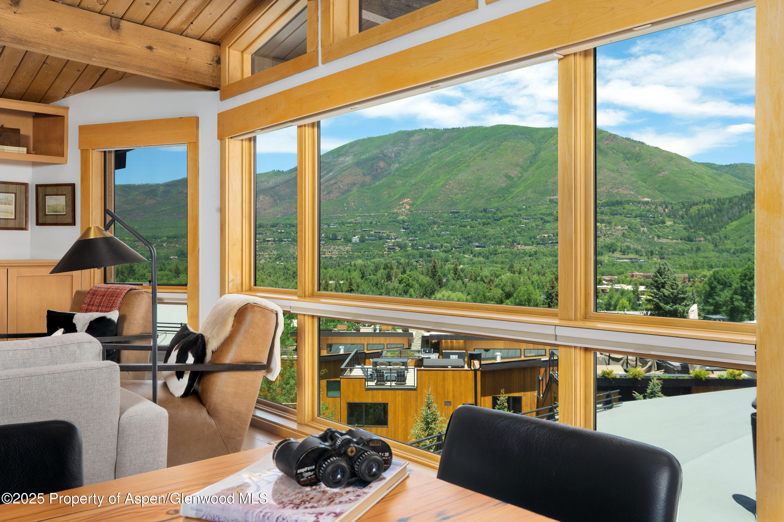 809 S Aspen Street Aspen CO 81611