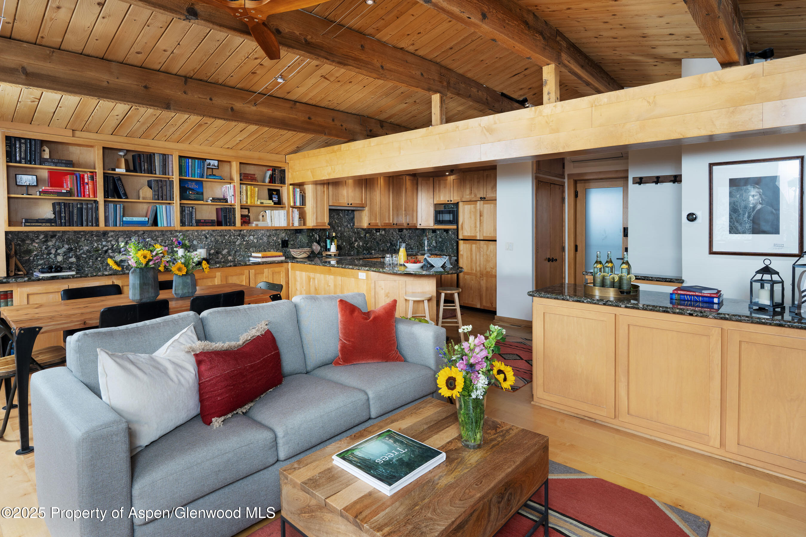 809 S Aspen Street Aspen CO 81611