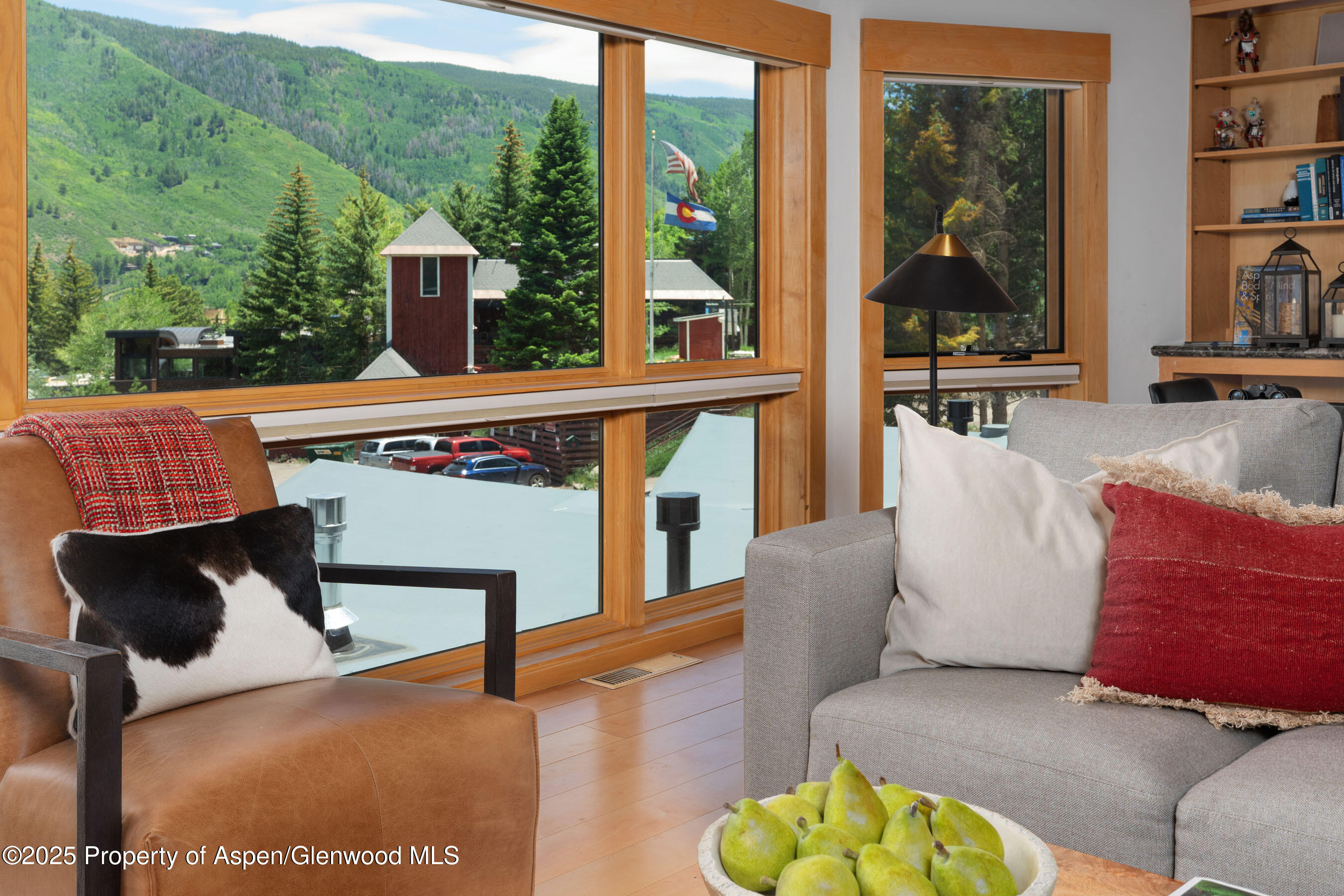 809 S Aspen Street Aspen CO 81611