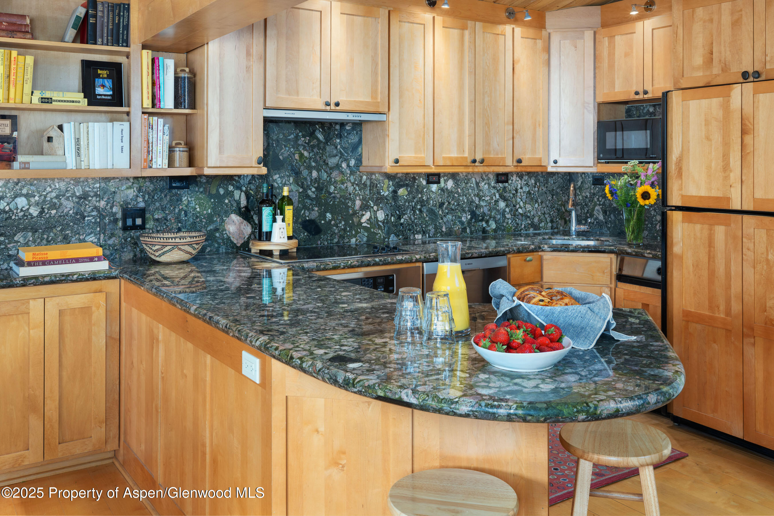 809 S Aspen Street Aspen CO 81611