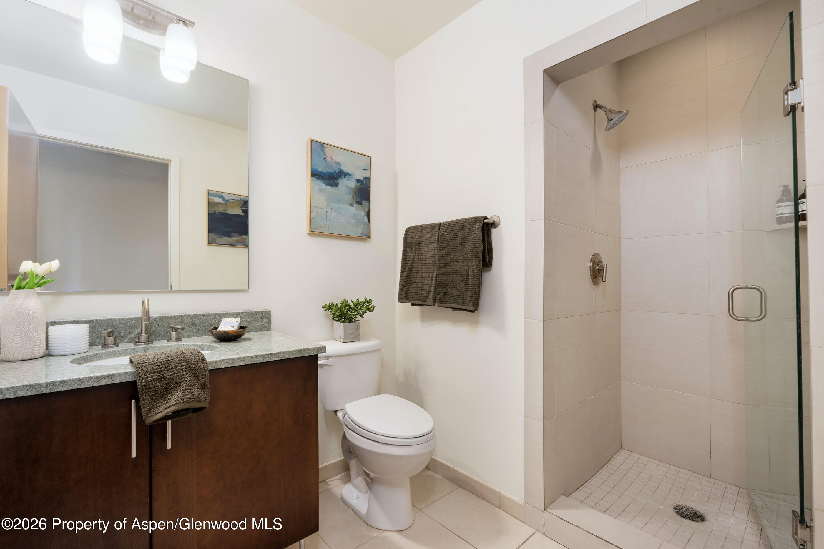 361 Robinson Street Basalt CO 81621