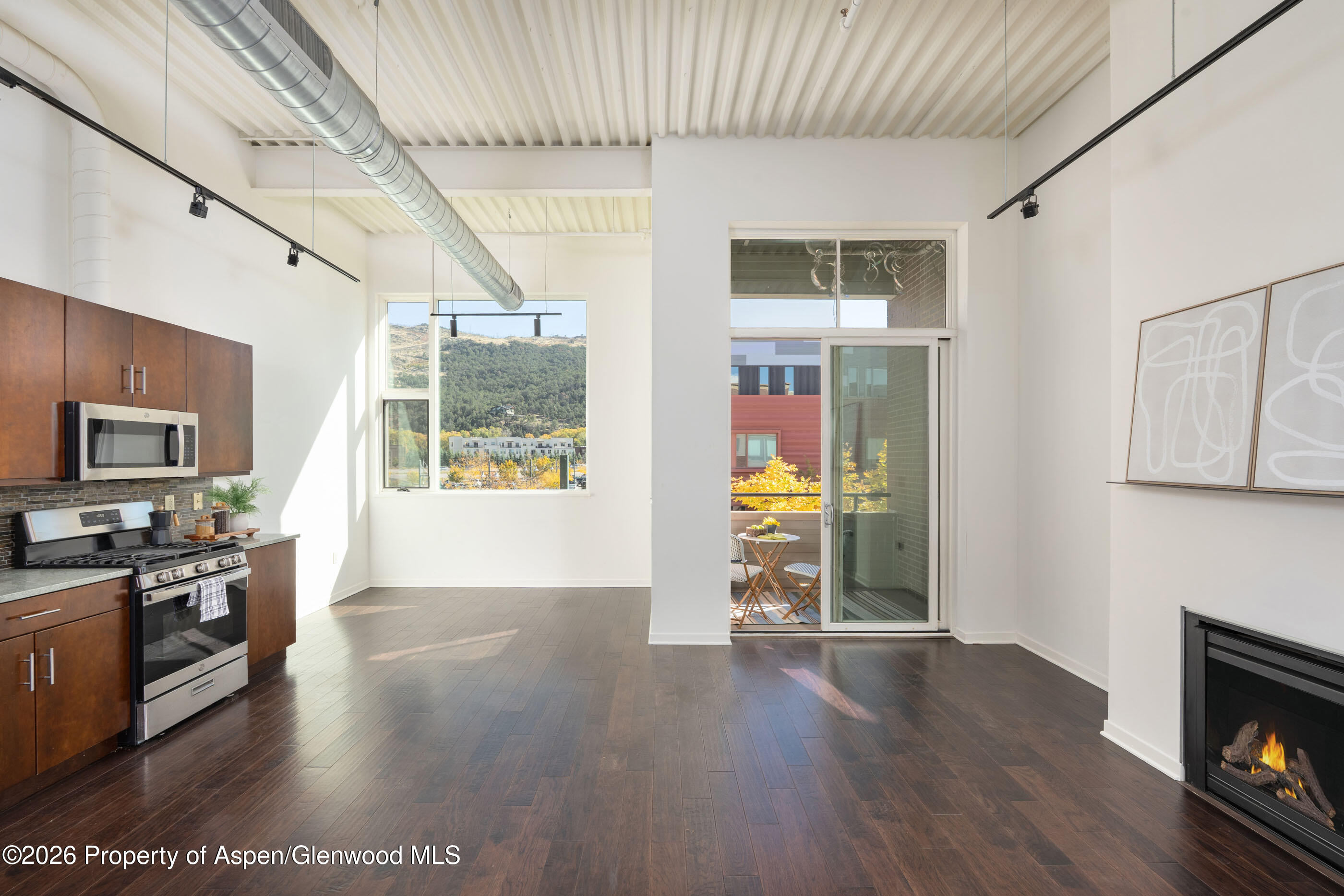 361 Robinson Street Basalt CO 81621