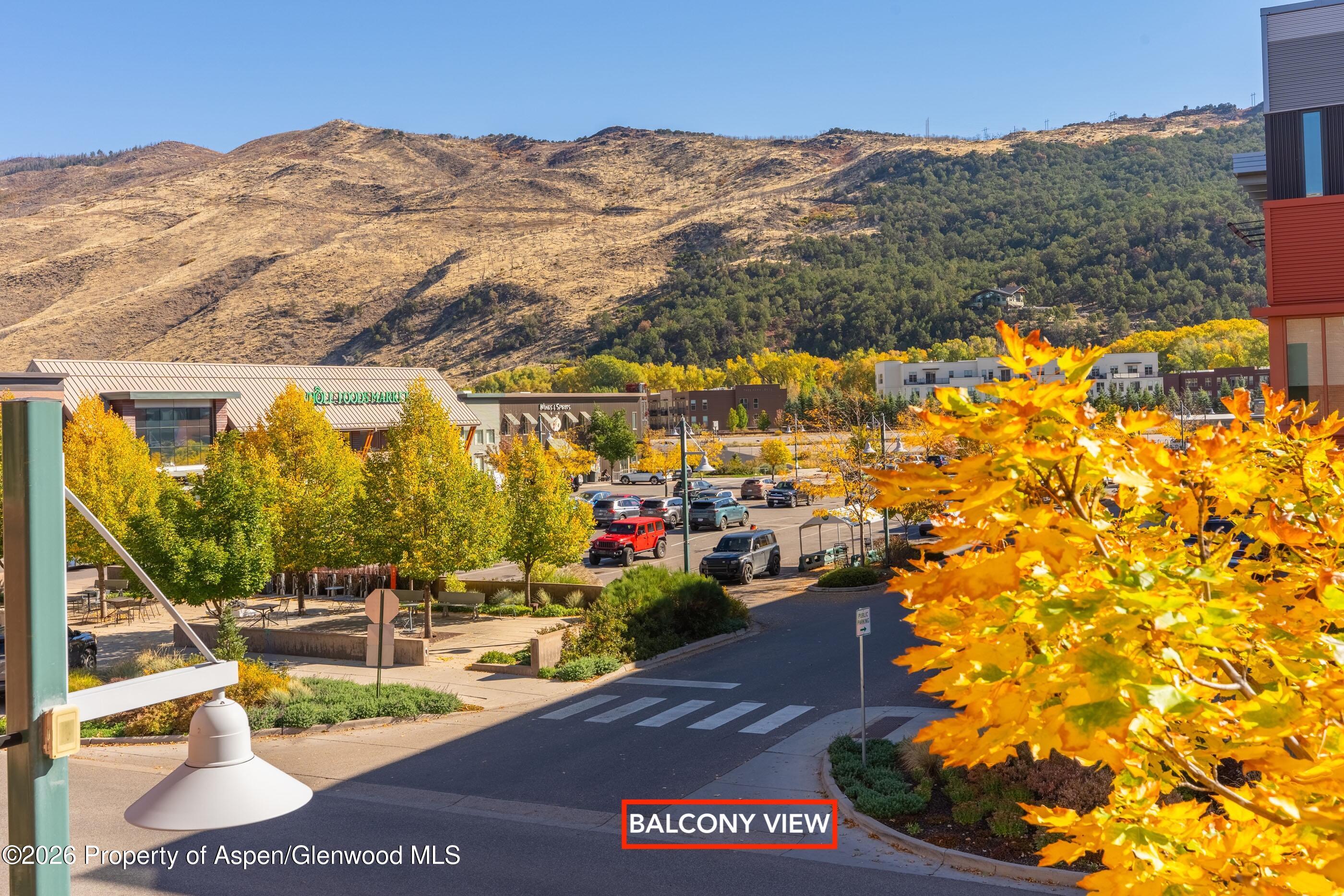 361 Robinson Street Basalt CO 81621