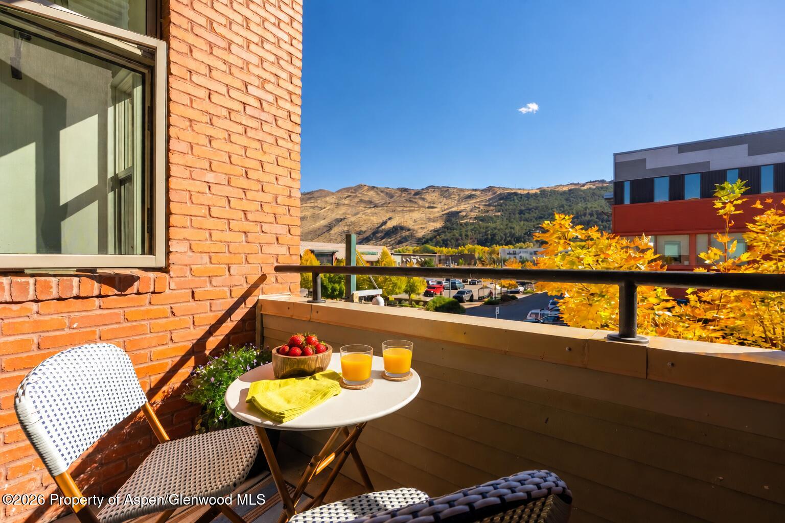 361 Robinson Street Basalt CO 81621