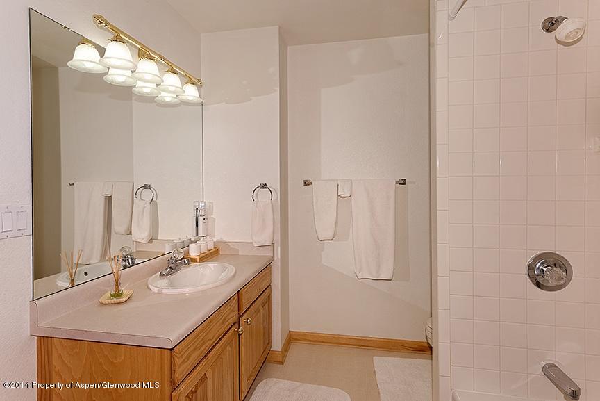 72 Sagewood Court Basalt CO 81621