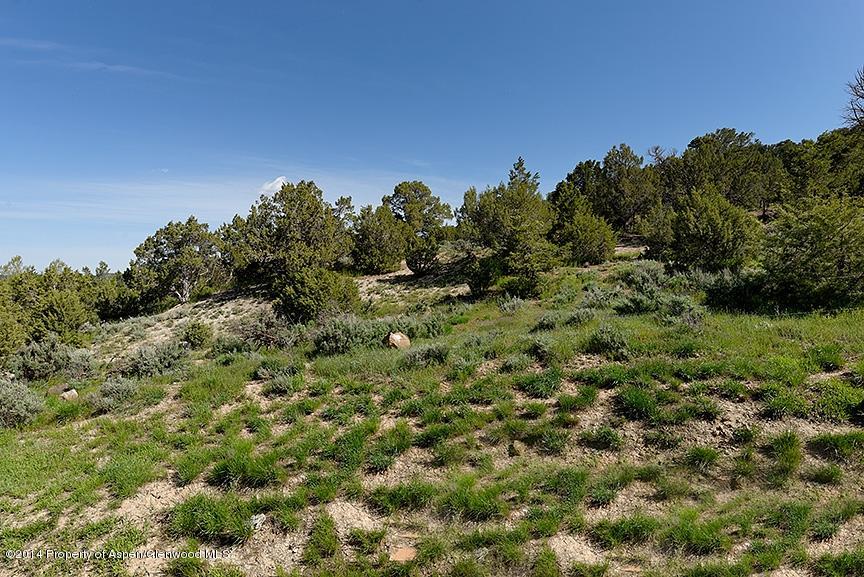 72 Sagewood Court Basalt CO 81621