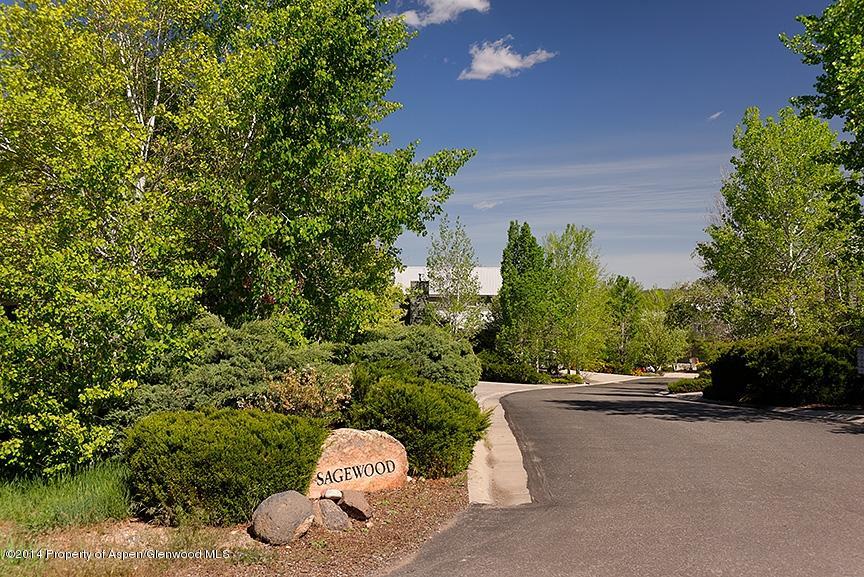 72 Sagewood Court Basalt CO 81621