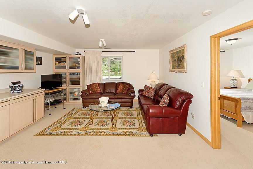 72 Sagewood Court Basalt CO 81621