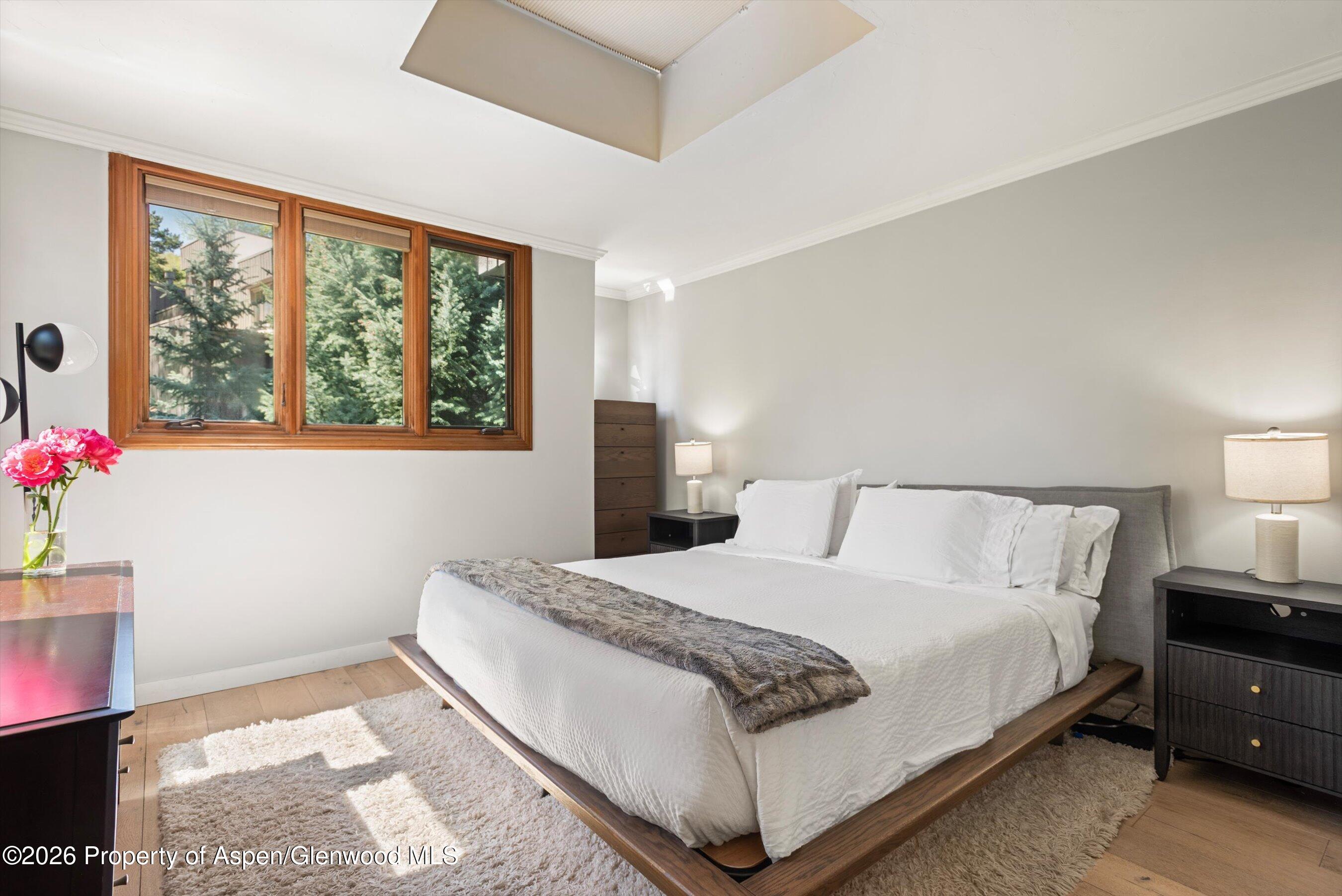 384 Fawn Court Snowmass Village CO 81615