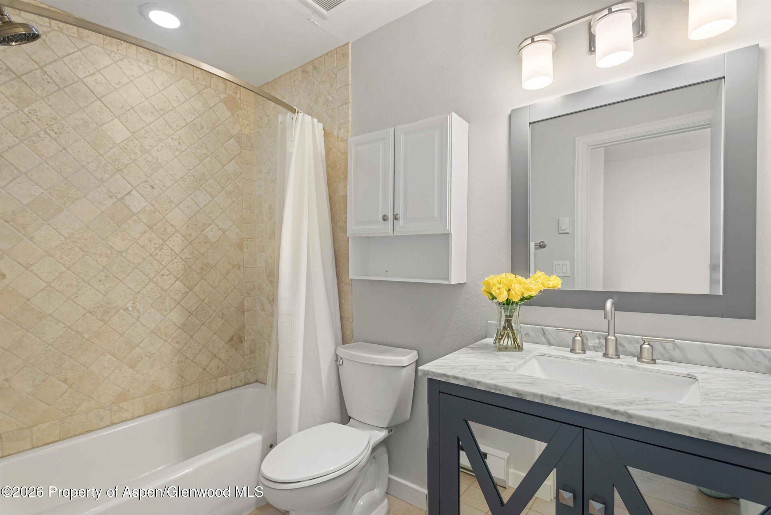 384 Fawn Court Snowmass Village CO 81615
