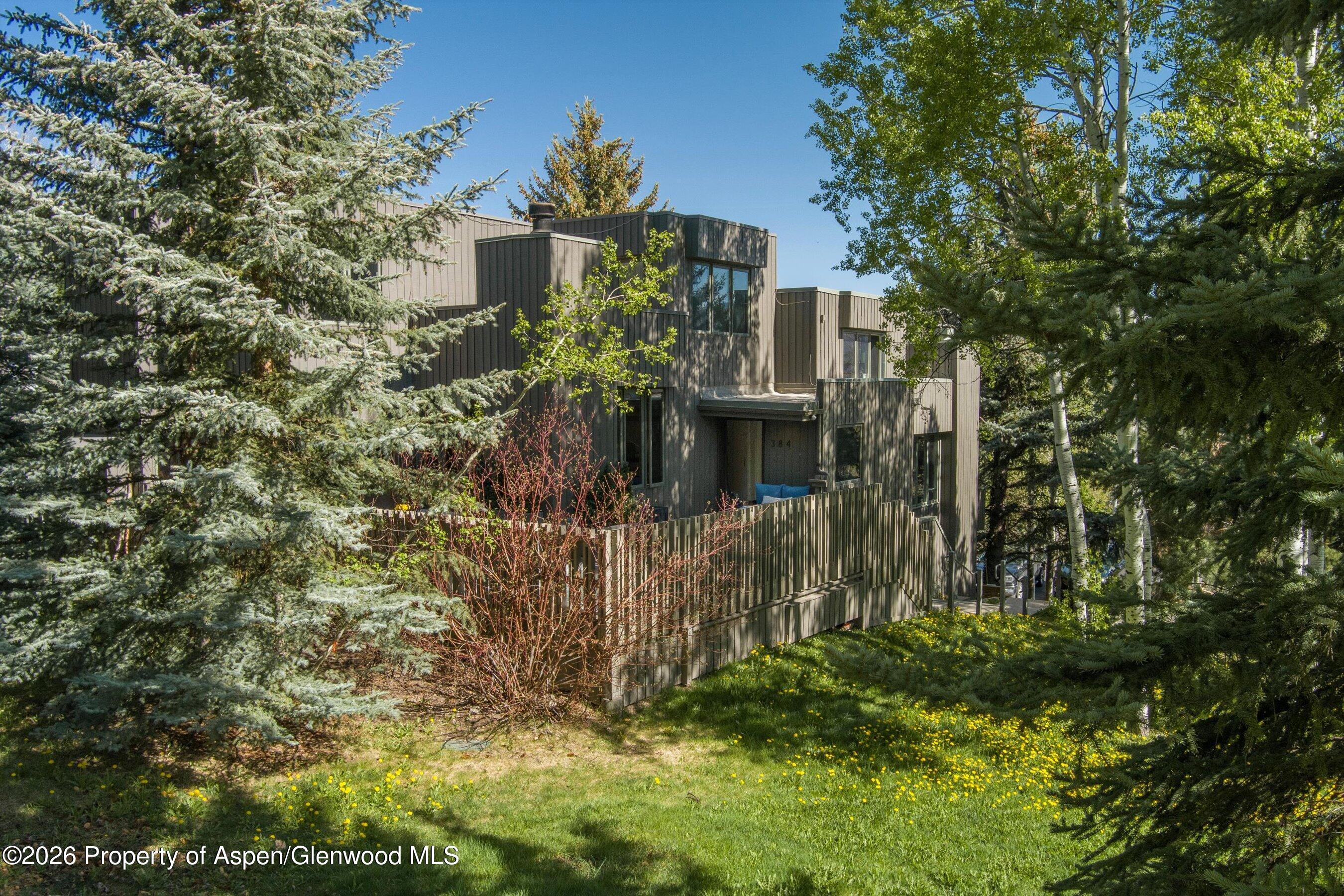 384 Fawn Court Snowmass Village CO 81615