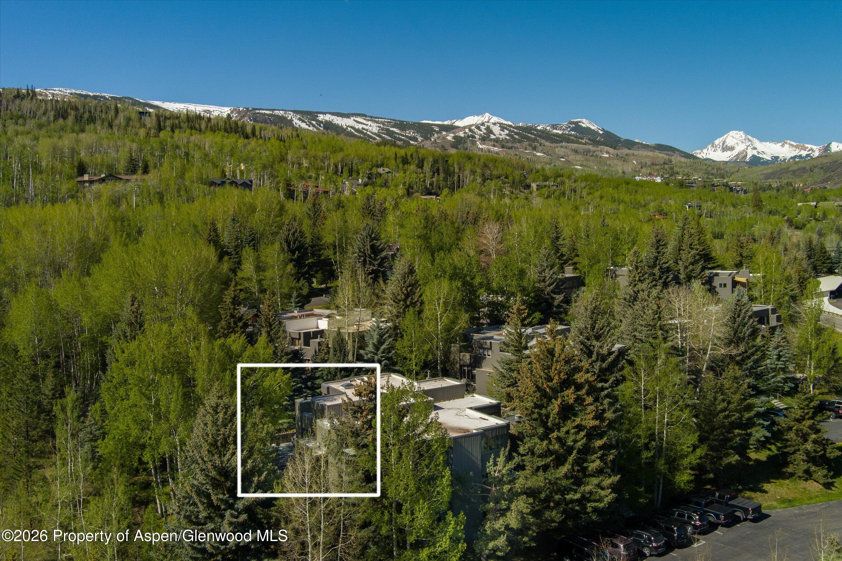 384 Fawn Court Snowmass Village CO 81615