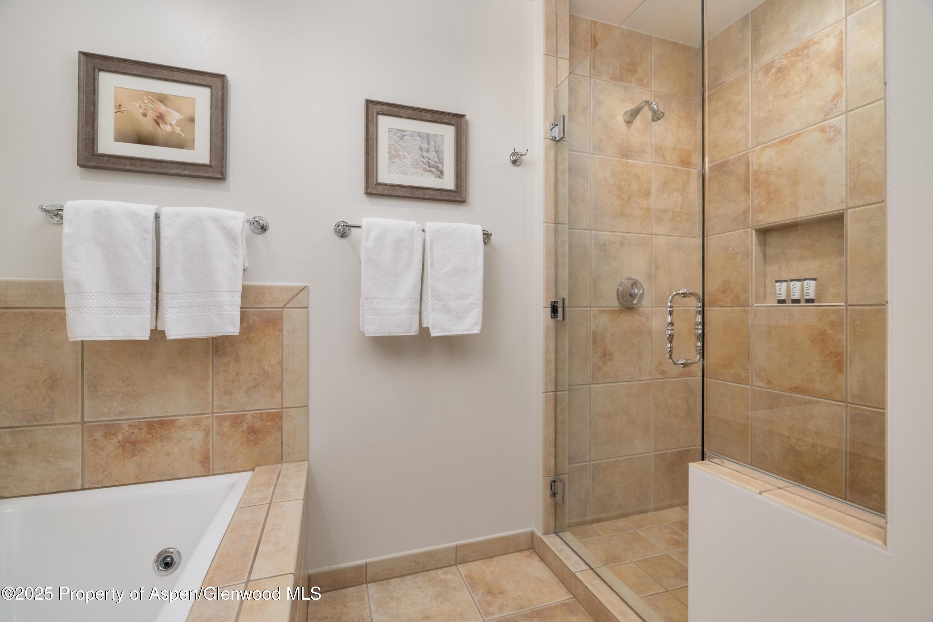 0239 Snowmass Club Circle Snowmass Village CO 81615