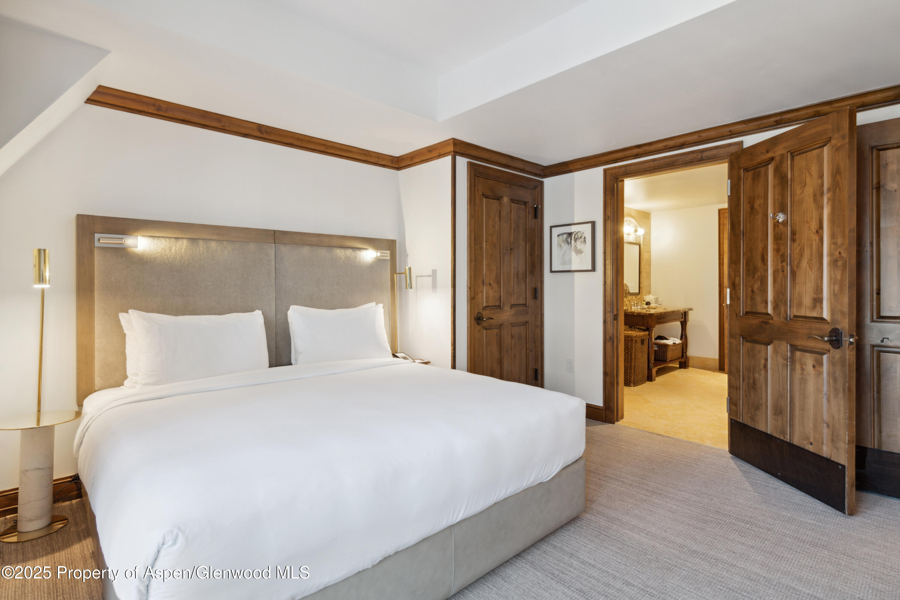 415 E Dean Street, Unit 36, Weeks 5 & 6 Aspen CO 81611