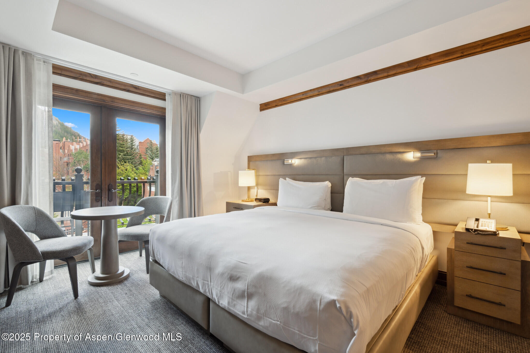 415 E Dean Street, Unit 36, Weeks 5 & 6 Aspen CO 81611