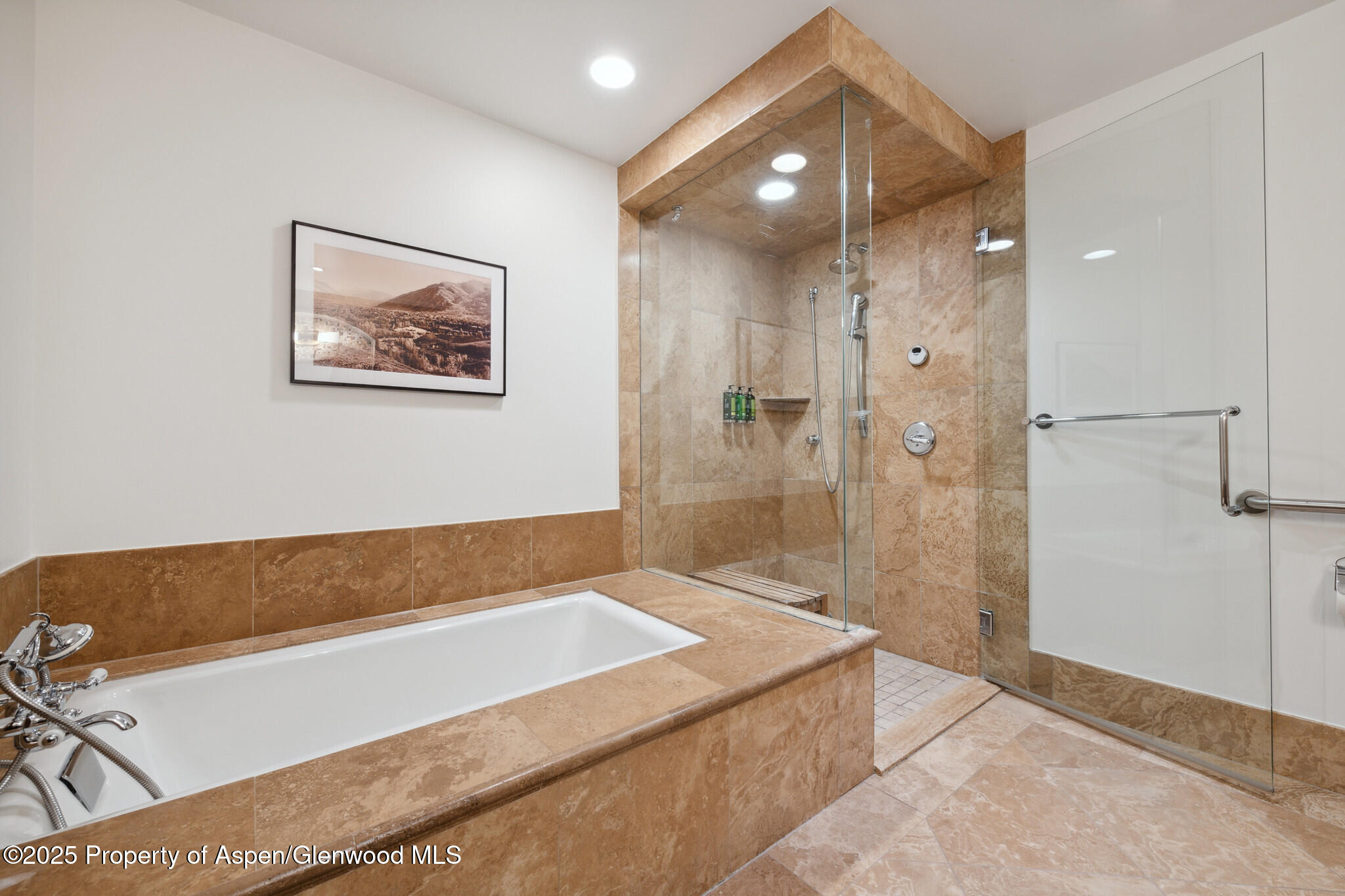 415 E Dean Street, Unit 36, Weeks 5 & 6 Aspen CO 81611