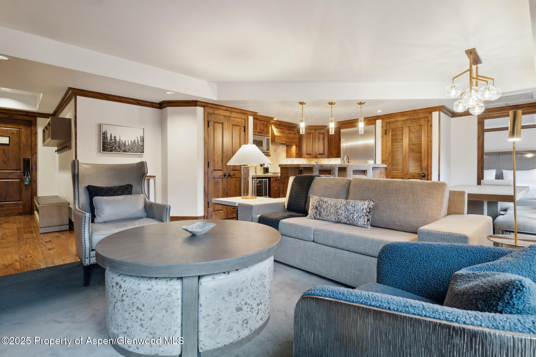 415 E Dean St., #25, Week 6 Aspen CO 81611