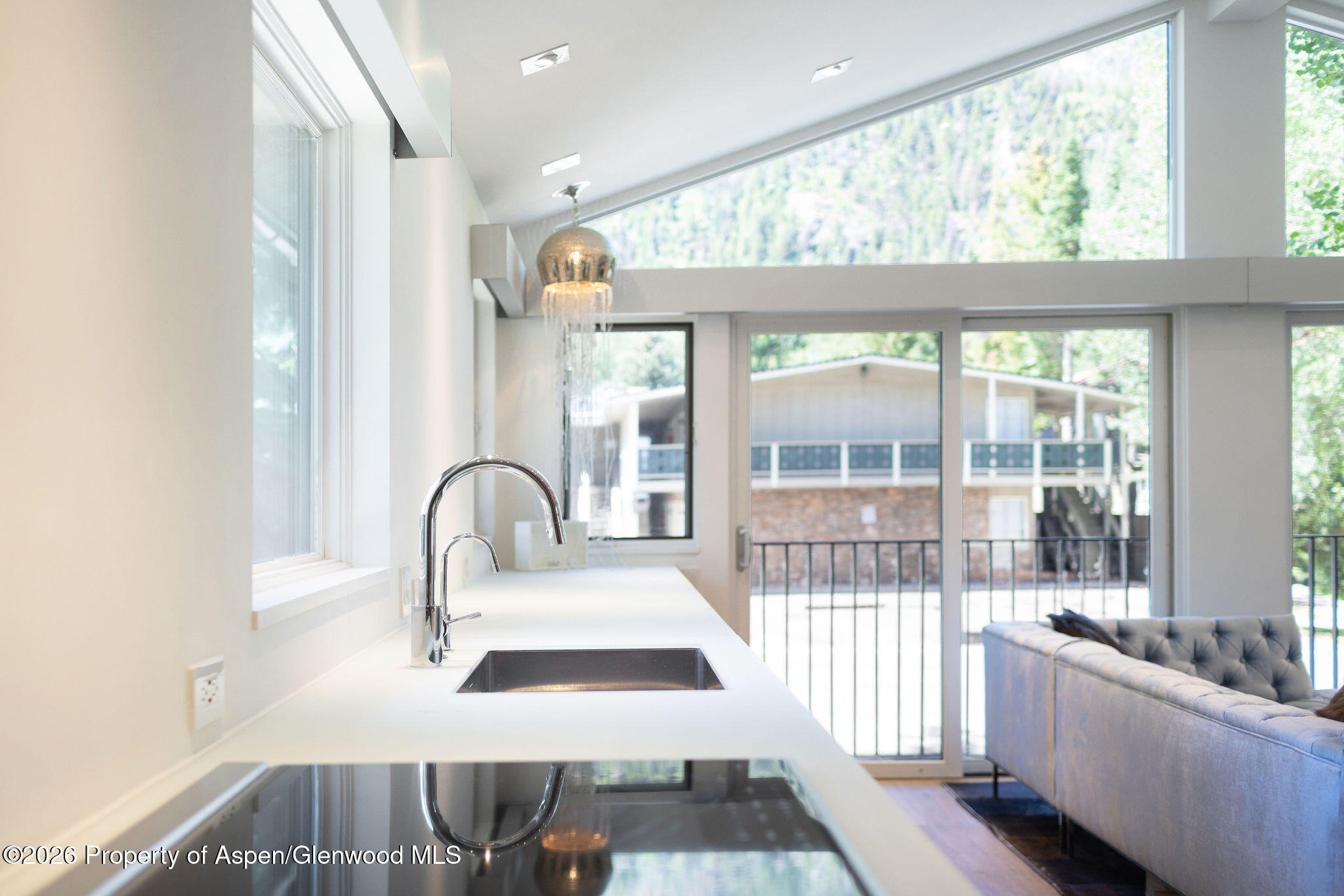 950 E Durant Avenue Aspen CO 81611